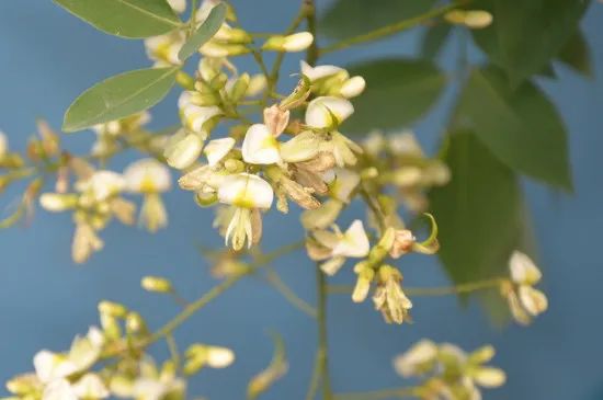 1675198002920335.jpg 微信圖片_20221025220213.jpg