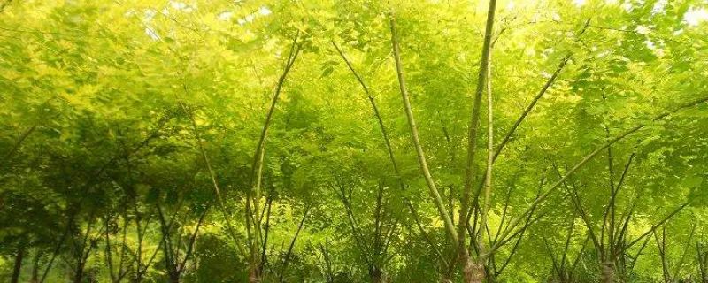 1675198128521023.jpg 微信圖片_20221025220220.jpg