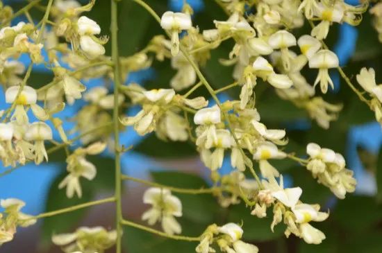 1675198135291382.jpg 微信圖片_20221025220223.jpg