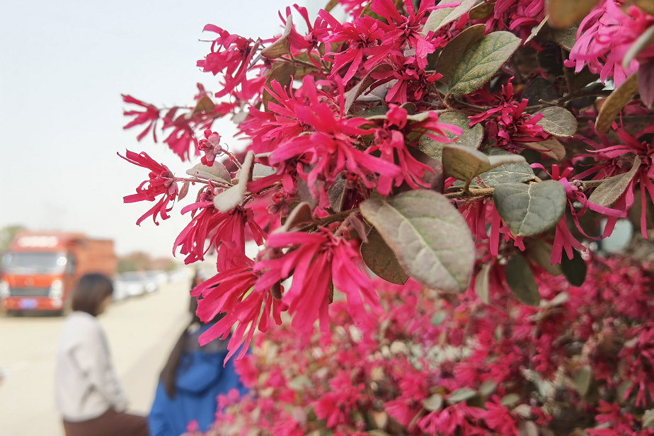 1675198313845572.png 微信圖片_20230201043751.png