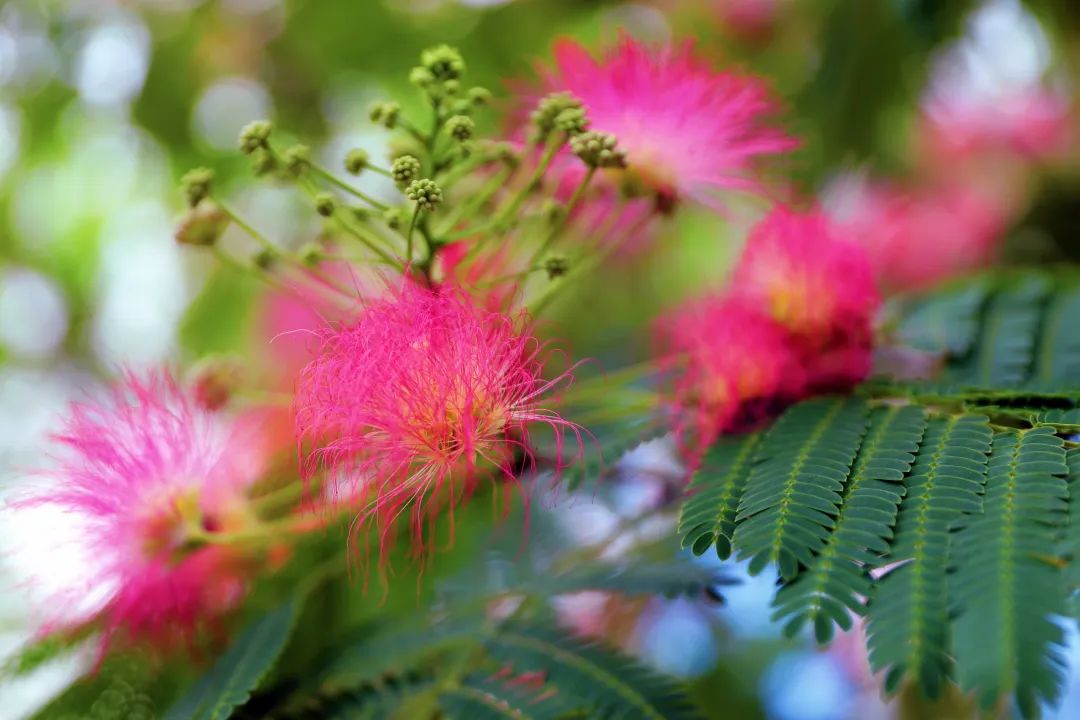 1675198614805900.jpg 微信圖片_20230201045522.jpg