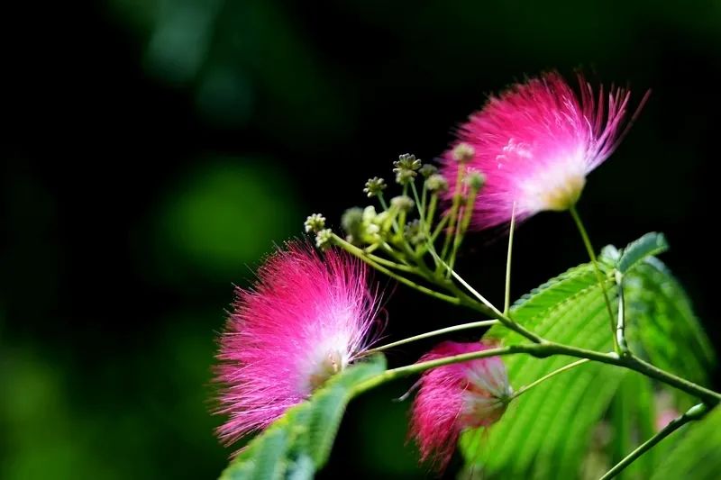 1675198626516978.jpg 微信圖片_20230201045612.jpg