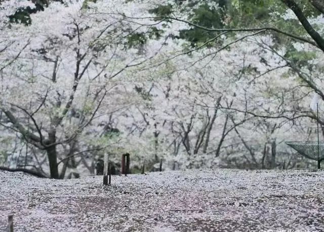 1675199675554319.jpg 微信圖片_20221101160159.jpg