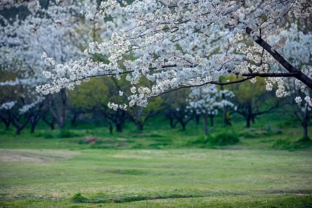 1675199682383570.jpg 微信圖片_20221101160156.jpg