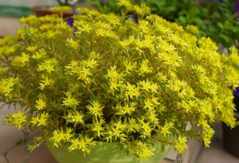 1676582541961357.jpg 1649820079281525.jpg