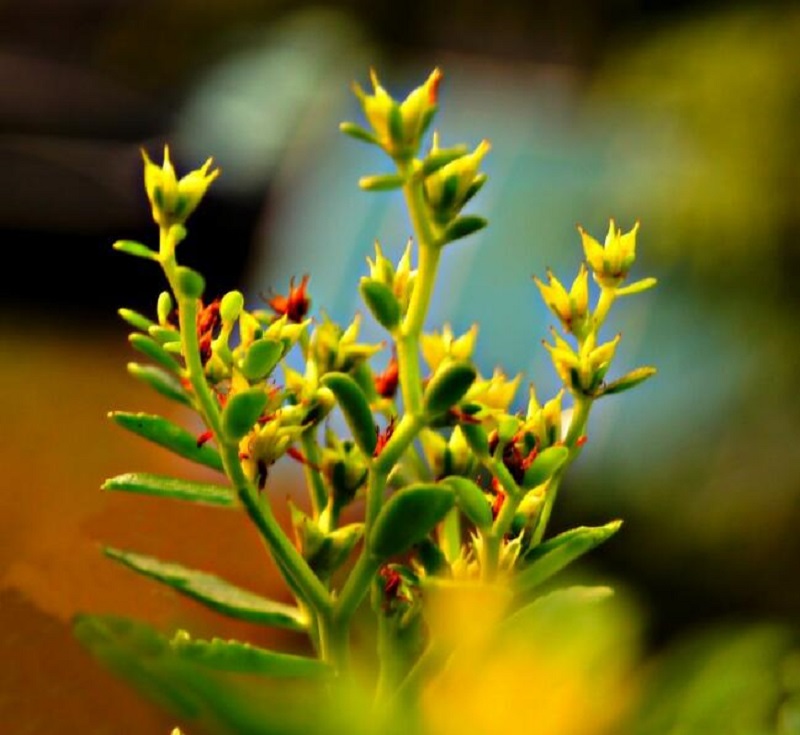 1676582591619201.jpg 1649820079707354.jpg