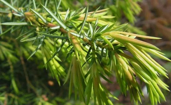 1676583265296762.jpg 微信圖片_20230107193600.jpg