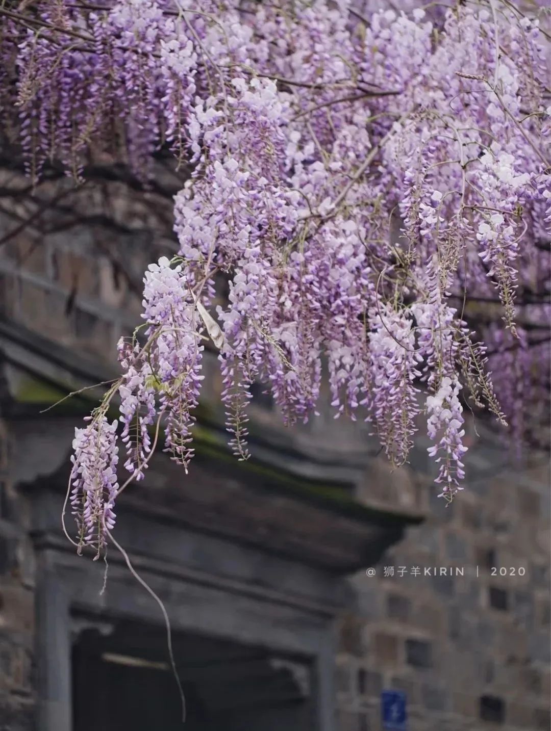 1676797212251265.jpg 微信圖片_20230206231808.jpg