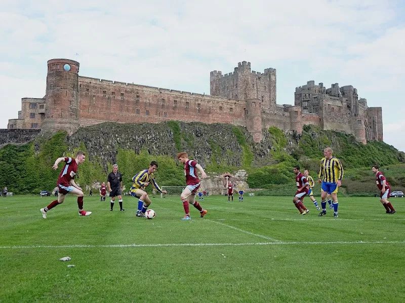 足球場天然草坪